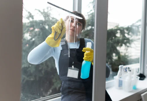 Nettoyage de vitres intérieures et extérieures à Saint-Laurent-de-Gosse
